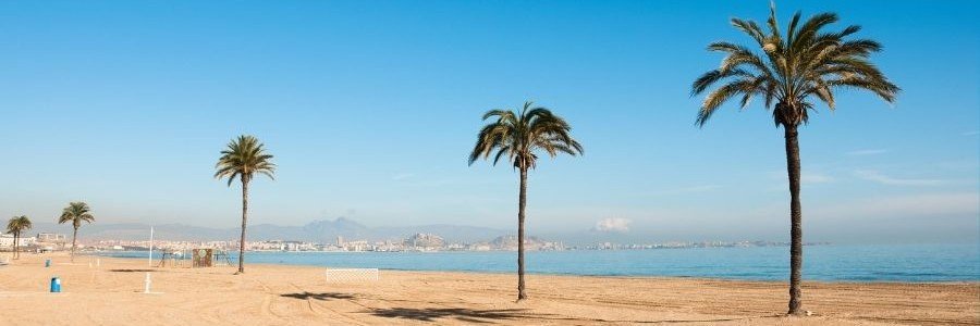 Sunny Costa Blanca beach with palm trees, calm Mediterranean Sea, and clear blue sky