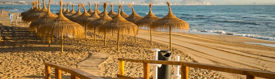 Straw beach umbrellas lined along sandy Costa Blanca beach at sunrise with calm Mediterranean Sea