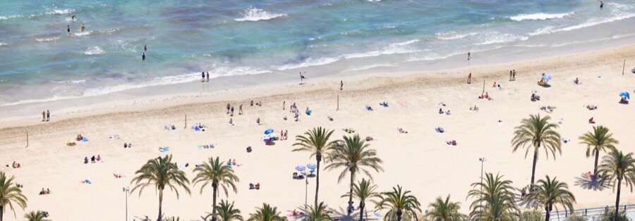 Aerial view of Costa Blanca sandy beach with palm trees, beachgoers, and gentle Mediterranean waves