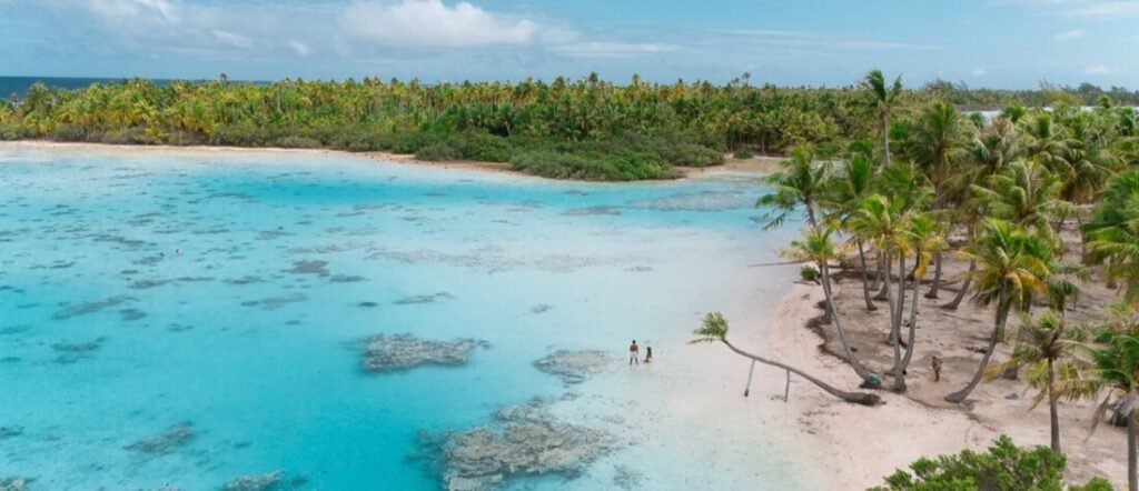 Turquoise lagoon in Fakarava with shallow clear water, palm trees, and a quiet tropical shoreline