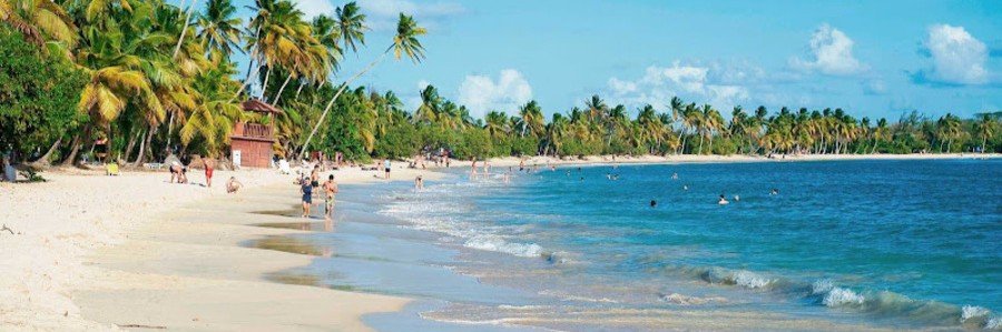 Palm-lined beach with turquoise water and people walking in Martinique