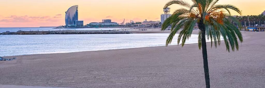 Somorrostro Beach in Barcelona with palm tree, calm sea, and W Hotel at sunset