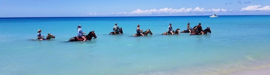 Horseback riding in the ocean along a beach in St Croix US Virgin Islands