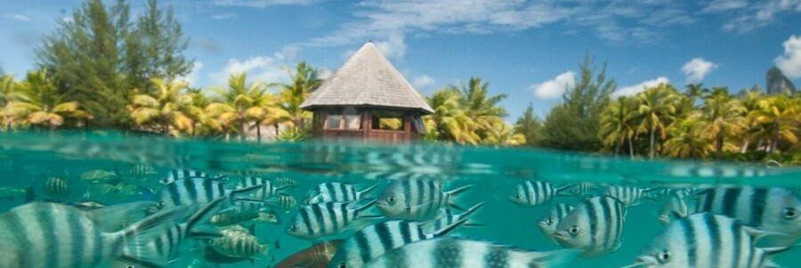 Catamaran sailing across deep blue lagoon toward palm-covered motu and shallow reef