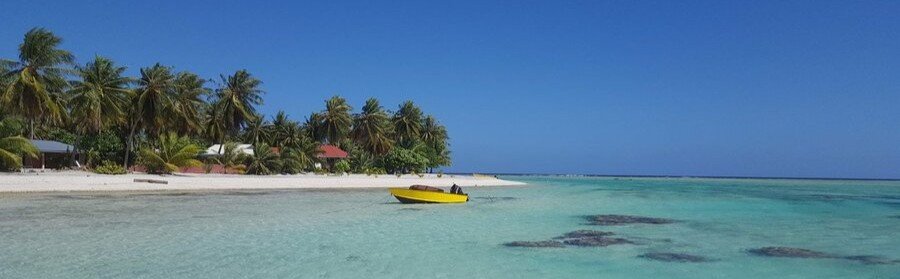 Tuherahera village beach in Tikehau with palm trees, clear lagoon water, and small boat near shore