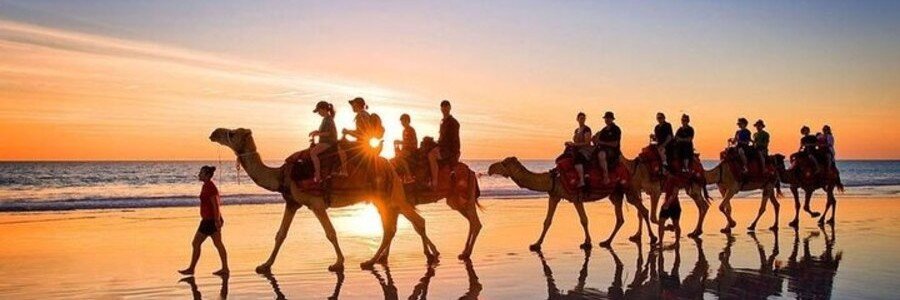 Camel ride at sunset on the beach in Agadir Morocco.