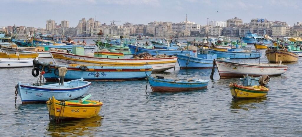  A wide-angle view of the Alexandria Waterfront at the Eastern Harbour, featuring many colorful traditional fishing boats anchored in the calm water with the city's urban skyline in the background.