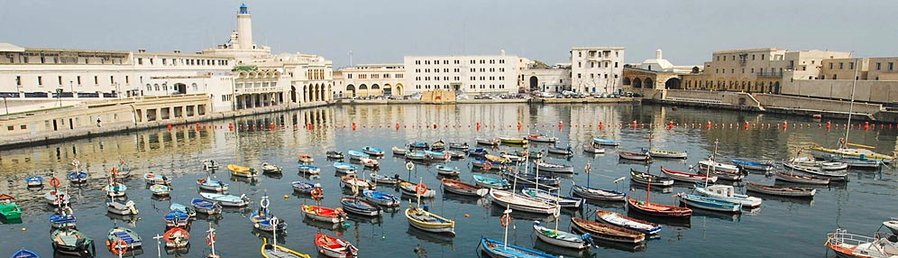 Traditional fishing boats floating in Algiers Port with waterfront buildings and historic harbor architecture in the background.