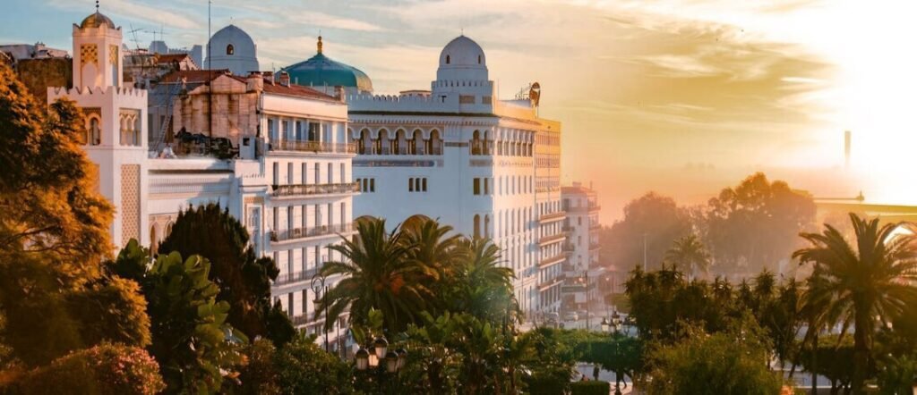 Golden sunset view over Algiers Port skyline with historic Kasbah architecture, palm trees, and elegant white buildings overlooking the city.