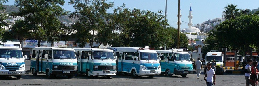 Row of white and blue Turkish dolmuş minibuses parked at the Turgutreis bus station in Bodrum with a white mosque and minaret visible in the background.