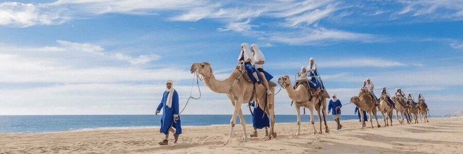 Camel ride excursion along the beach near Tangier Morocco.