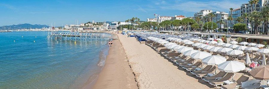 Rows of white umbrellas and sunbeds on La Croisette beach in Cannes with calm Mediterranean water and palm-lined promenade