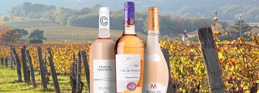 Bottles of Côtes de Provence rosé wine in front of a vineyard landscape in southern France