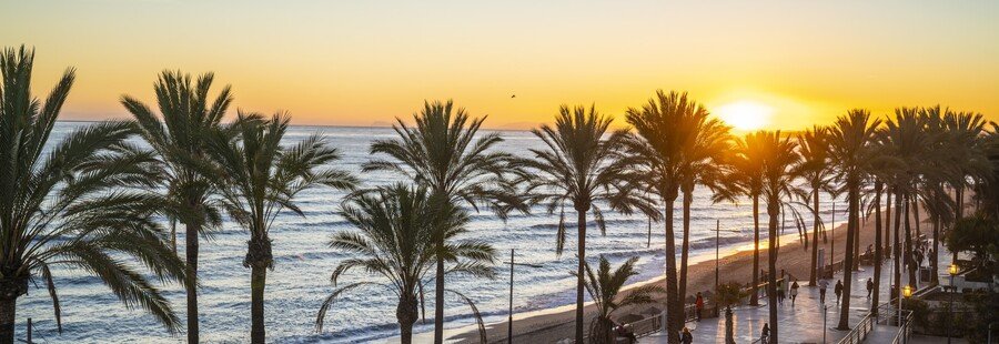Málaga sunset with palm trees along the beach and glowing Mediterranean horizon