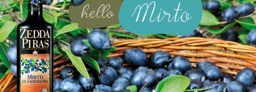 Mirto liqueur with berries in Sardinia