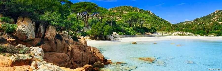 Palombaggia Beach Corsica with clear turquoise water, red rocks, and pine trees along the shoreline