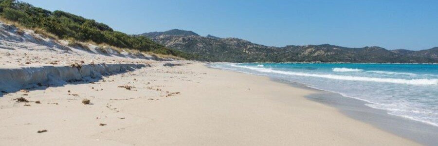 Plage d’Alga Corsica with wide sandy beach, rolling waves, and natural dunes