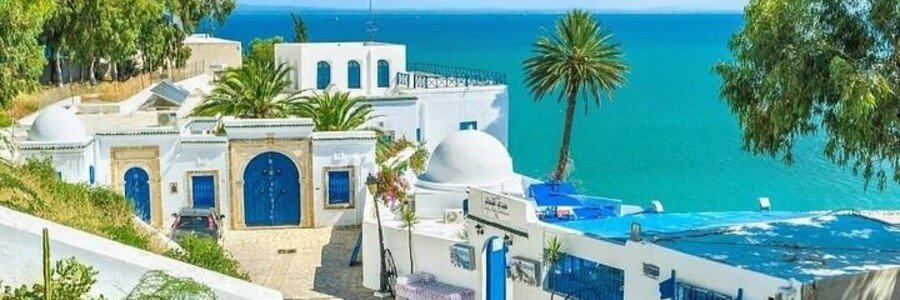 Blue and white hillside homes overlooking the sea in Sidi Bou Said Tunisia.