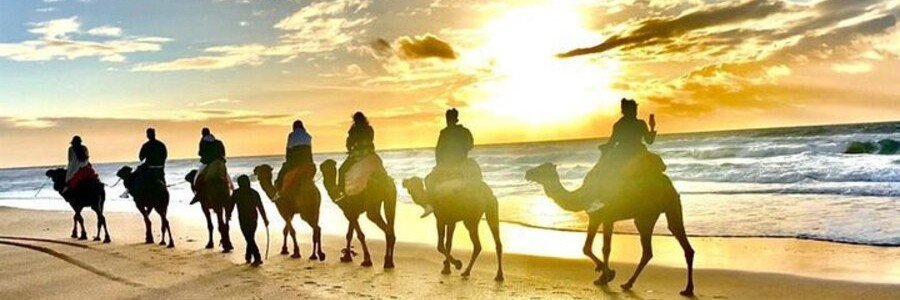 Camel ride at sunset on the beach near Tangier Morocco.