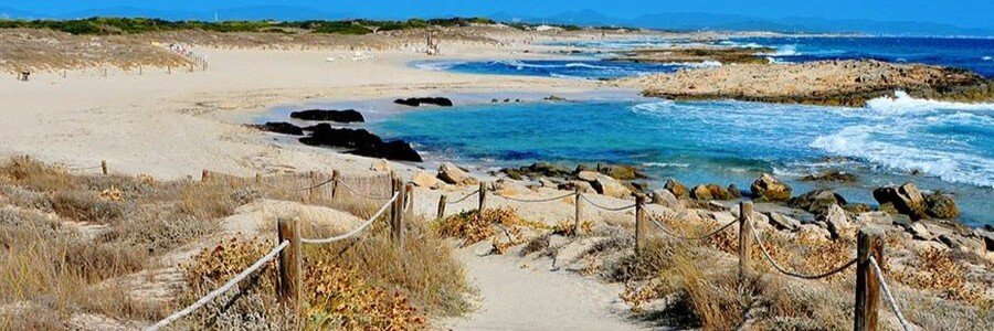 Valencia Port nearby Platja de Llevant beach coastline with sandy shore and clear Mediterranean water