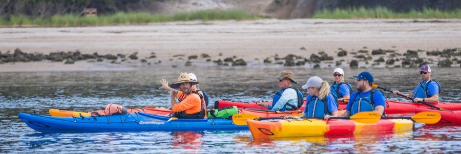 Guided kayak tour exploring the calm waterways and salt marshes of Amelia Island, Florida.
