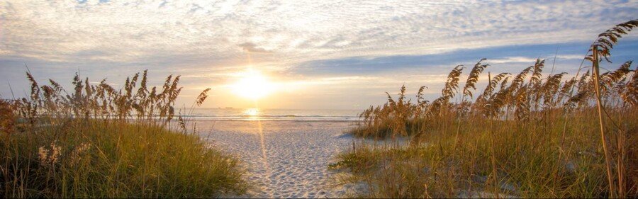 A beautiful morning sunrise over the Atlantic Ocean viewed through golden sea oats and a sandy path on a Cape Canaveral beach.