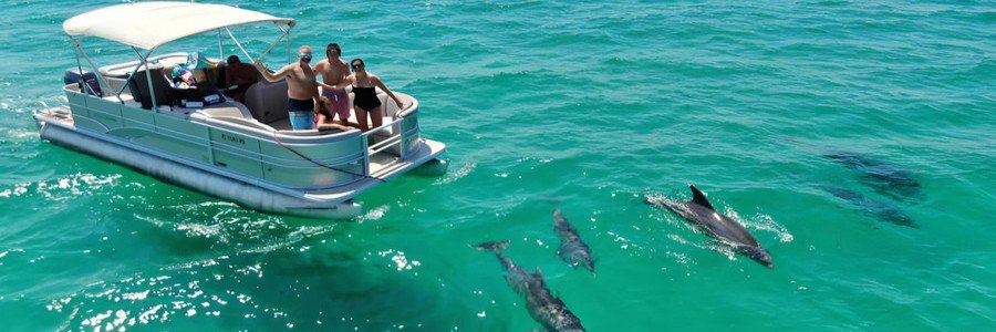 Visitors on a boat tour watching dolphins swim through the waters near Cape Canaveral and Port Canaveral.