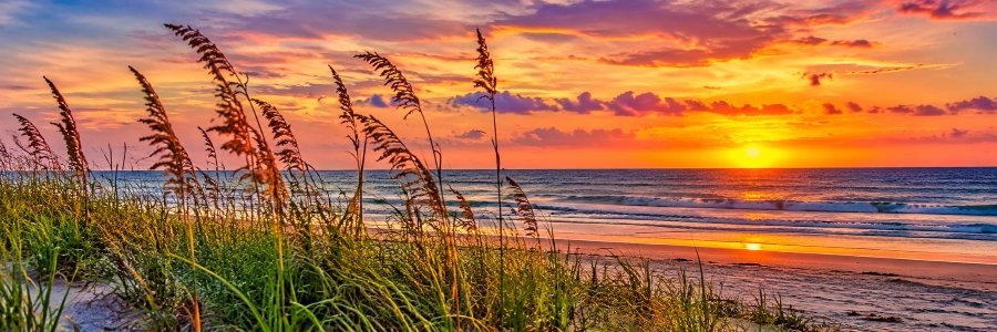 Golden sunset over Atlantic Ocean waves, with sandy dunes and tall sea oats along the shoreline.