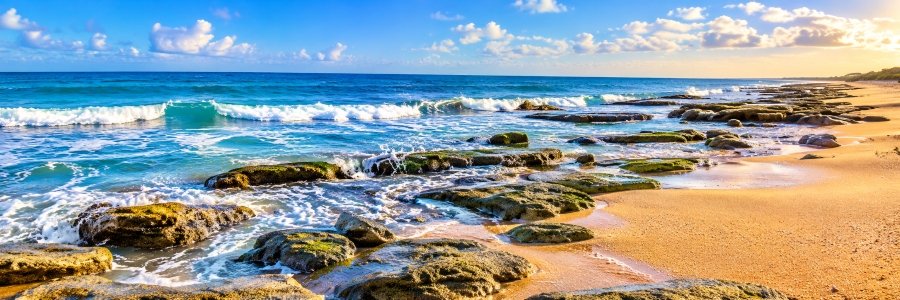 Rocky coquina shoreline with Atlantic Ocean waves and golden sand at Jungle Hut Road Beach in Palm Coast, Florida.