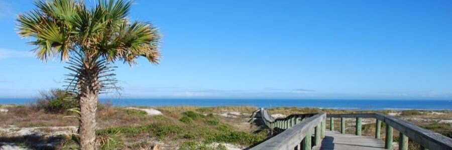 Boardwalk leading through coastal dunes to the beach at Kathryn Abbey Hanna Park in Jacksonville, Florida.