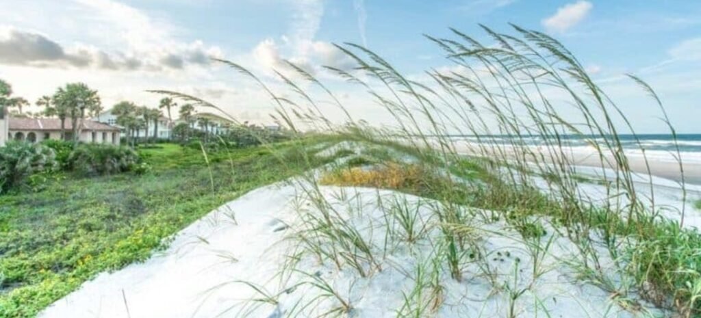 Sea oats and white sand dunes overlooking Ponte Vedra Beach, Florida, with luxury oceanfront homes and the Atlantic Ocean in the background.