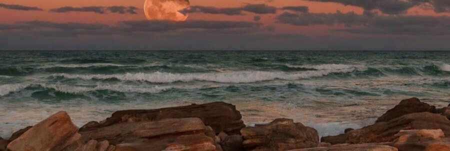 Coquina rock formations and Atlantic waves at Washington Oaks Gardens State Park in Florida.
