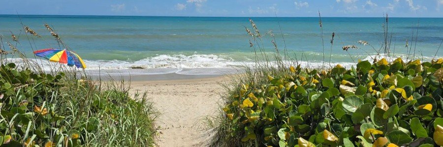 Sandy path through sea grapes leading to Ambersands Beach Park on Hutchinson Island, Florida.