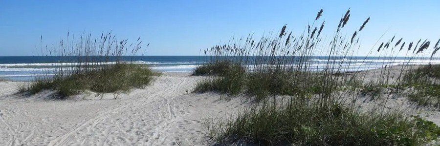 Sandy beach path leading through sea oats to the Atlantic Ocean at Cherie Down Park near Titusville.