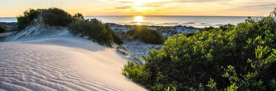 Views Toward Cumberland Island | Beach Travel Destinations Sand dunes and coastal vegetation with views toward Cumberland Island from Fernandina Beach.
