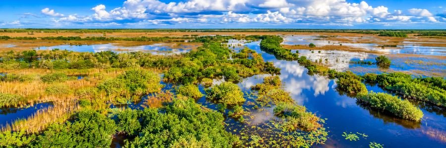 Aerial view of Everglades National Park with wetlands, mangroves, winding waterways, and blue sky