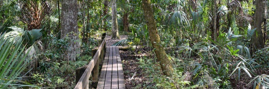 Wooden boardwalk winding through the tropical hammock forest at Sebastian Inlet State Park.