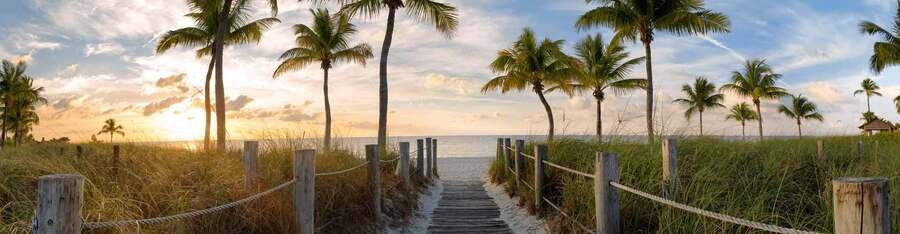 Panoramic view of a wooden beach boardwalk path surrounded by palm trees and dune grass at sunset in Hobe Sound, Florida.