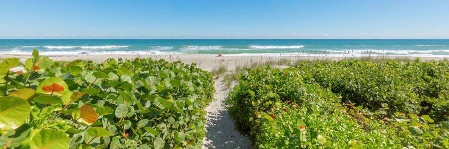 Beach access path leading through dunes to the sandy shoreline in Indialantic, Florida.