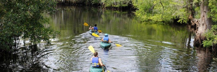 Visitors kayaking along the Loxahatchee River in Jonathan Dickinson State Park near Hobe Sound, Florida.