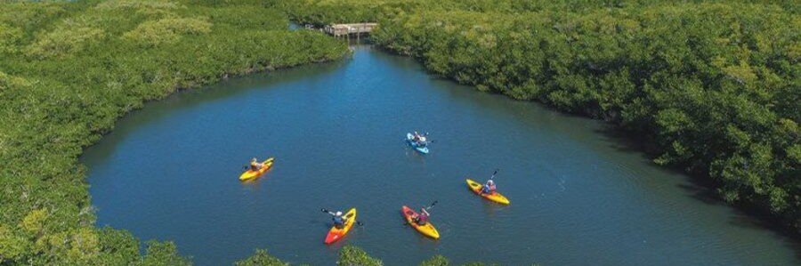 Kayakers exploring the mangrove waterways near Orchid, Florida.