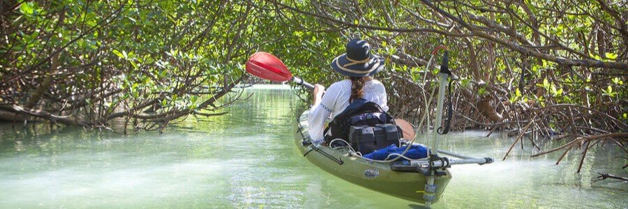Kayaker paddling through mangrove tunnels near Port St. Lucie, Florida.