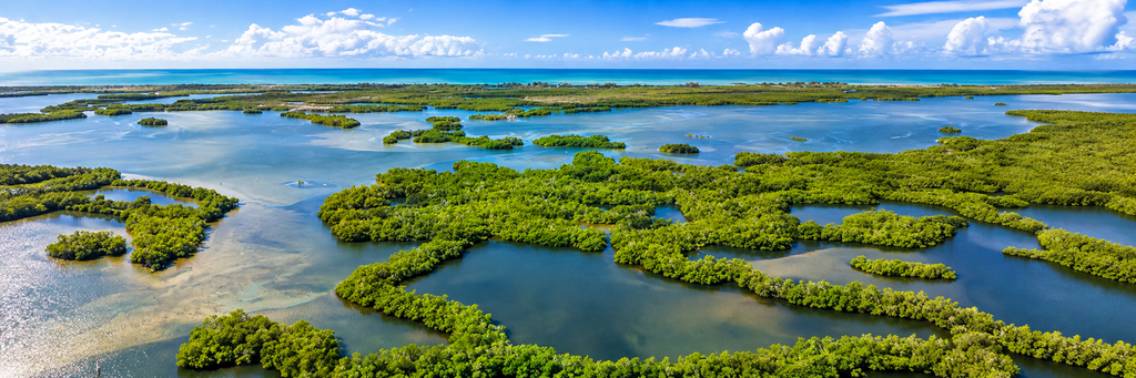 Aerial view of Matanzas Pass Preserve with mangrove islands and coastal waterways near Fort Myers Beach, Florida