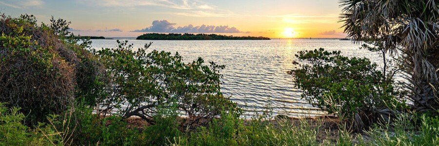 Merritt Island National Wildlife Refuge at Sunset Sunset over Merritt Island National Wildlife Refuge with mangroves and calm lagoon waters.
