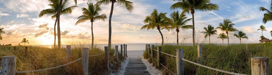 Palm-lined wooden boardwalk leading through beach grass toward the ocean at sunrise in Sebastian, Florida.