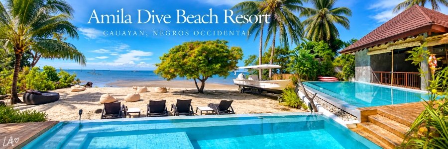 Amila Dive Beach Resort in Negros Occidental featuring turquoise swimming pools, tropical palm trees, beachfront loungers, and beautiful ocean views.