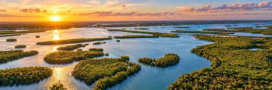 Aerial view of the Indian River Lagoon near Edgewater, Florida, featuring winding waterways, lush mangrove islands, and golden sunset reflections.