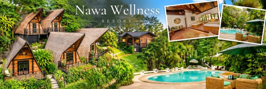 Nawa Wellness | Tropical Cottages & Relaxing Retreat Charming A-frame wooden cottages surrounded by lush tropical gardens, with inset views of a cozy resort bedroom and a turquoise swimming pool.