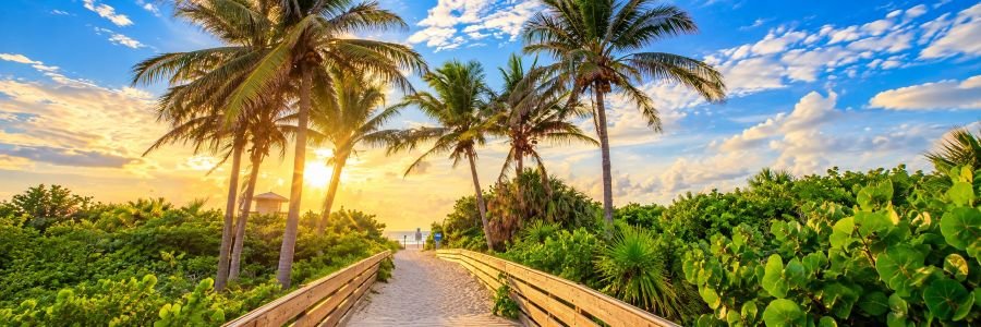 Tropical palm trees surrounding a sandy boardwalk leading to Singer Island Beach in Florida at golden hour.