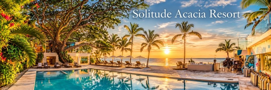 Solitude Acacia Resort | Anilao Beachfront Retreat Tropical beachfront resort with a turquoise swimming pool, towering acacia tree, swaying palms, and a beautiful golden sunset over the ocean.